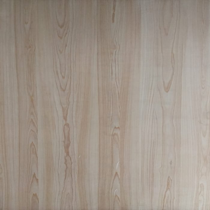 JL169-3 <br> 貝殼杉自然拼