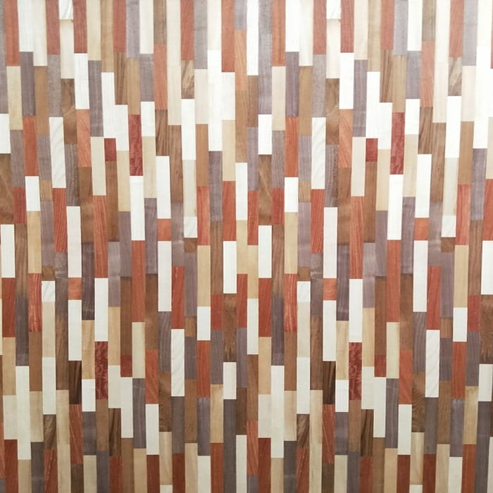 JL201 <br> 五彩集成