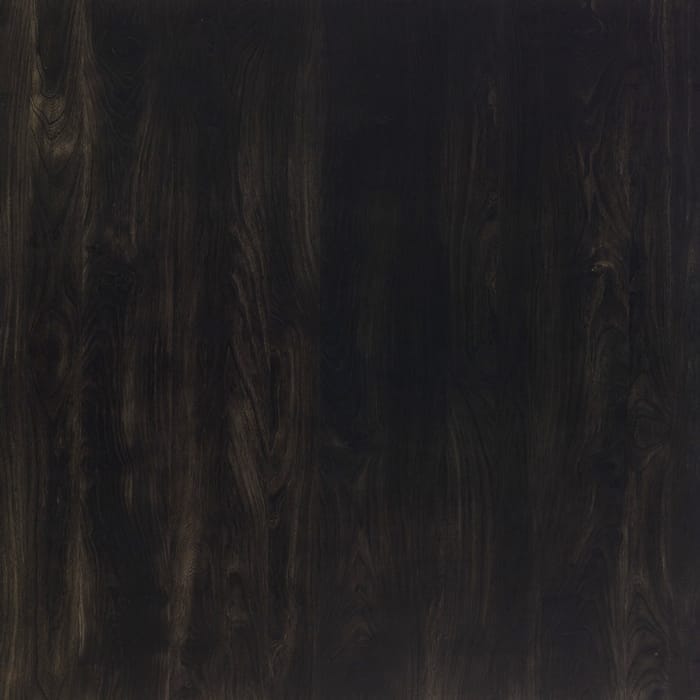 F9370-7KK <br/> 鋼刷榆木樹櫛